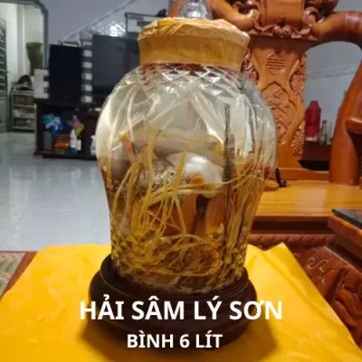 Binh Hai Sam 6 Lit